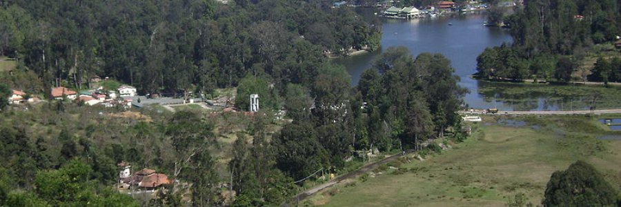 קודאיקאנאל – Kodaikanal קודאיקאנאל – Kodaikanal