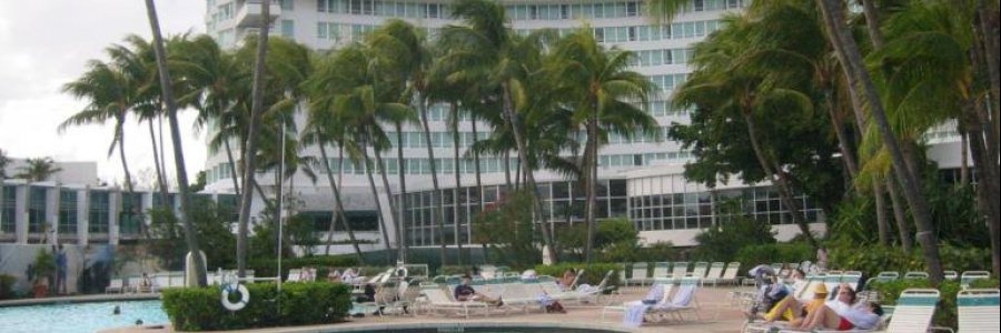 מיאמי – Miami מיאמי – Miami