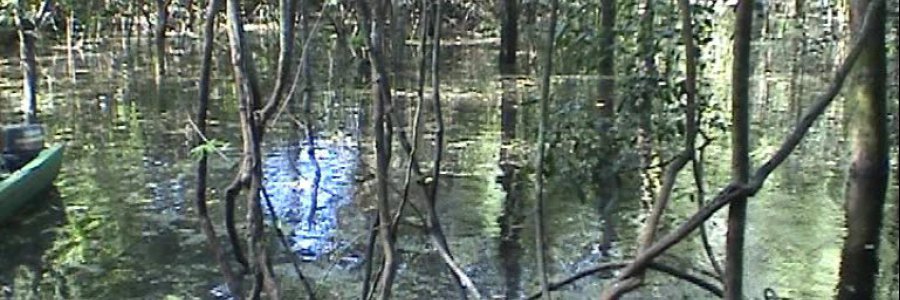 לטיסיה, קולומביה (Leticia) לטיסיה, קולומביה (Leticia)